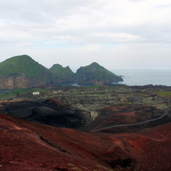 Vestmannaeyjar  riciclo tra le colate laviche - Davide Defilippis